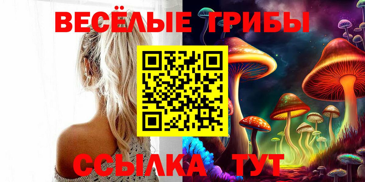 Галлюциногенные грибы прущие грибы Хабаровск