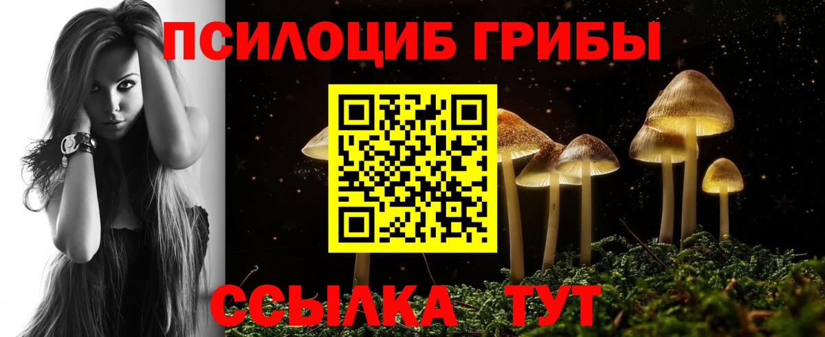 Псилоцибиновые грибы Magic Shrooms  Вход с VPN  Хабаровск 